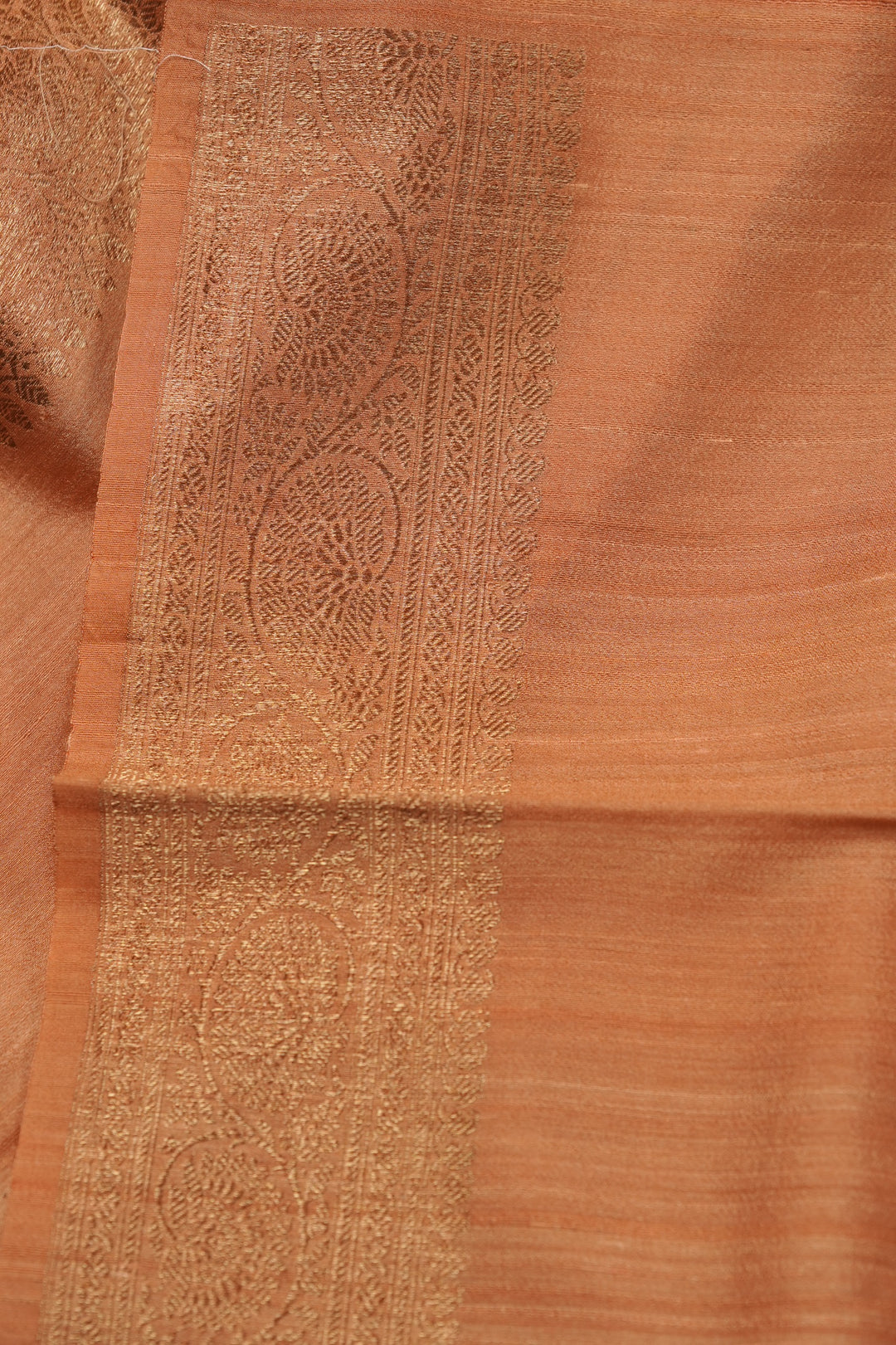 Raw Silk Saree TSA5971