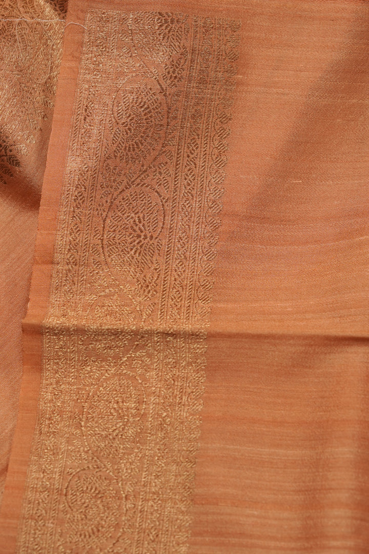 Raw Silk Saree TSA5971