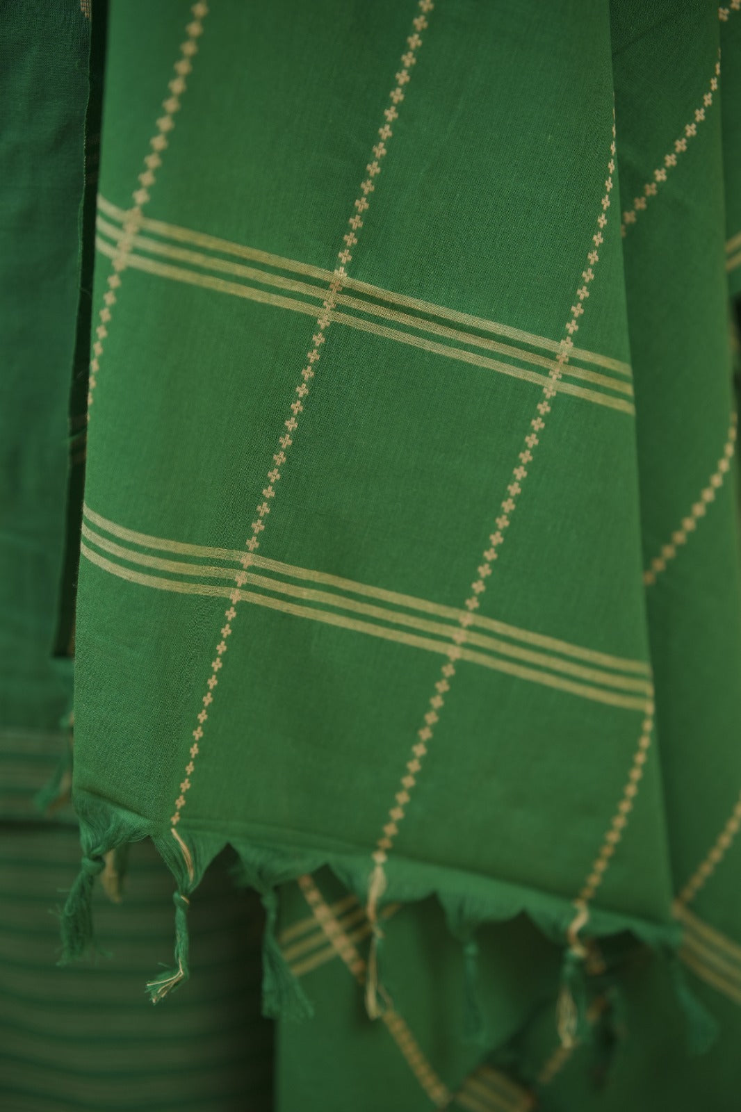 Cotton Salwar TSS6022