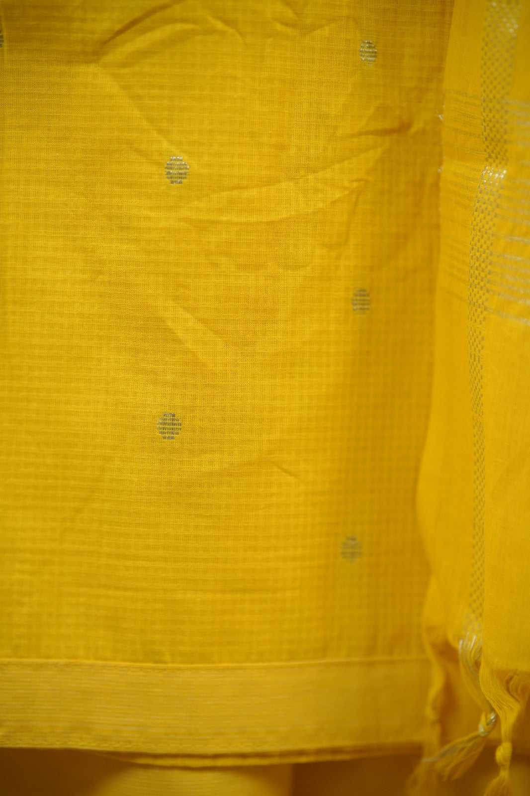Cotton Salwar TSS6021