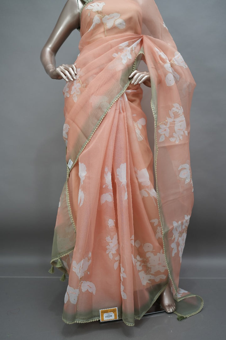 Organza Saree TSA139