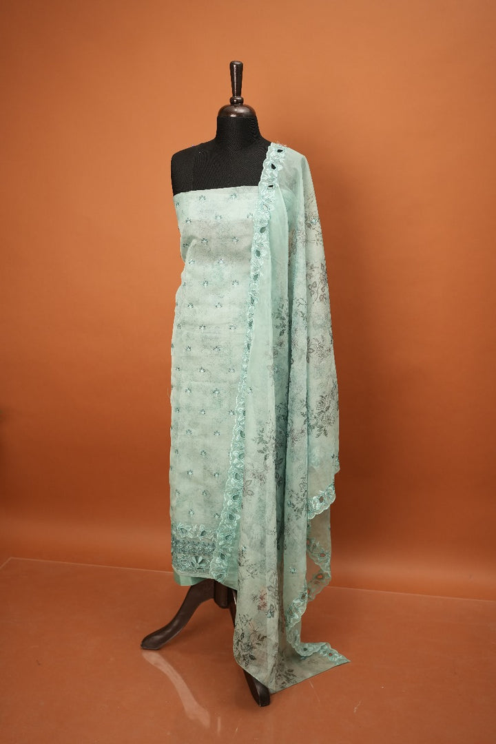 Organza Salwar TSS1464