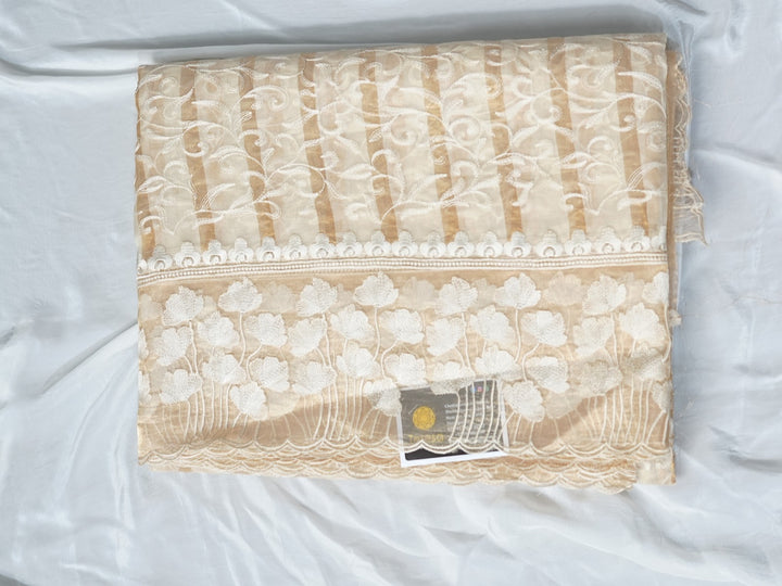 Organza Saree TSA3860