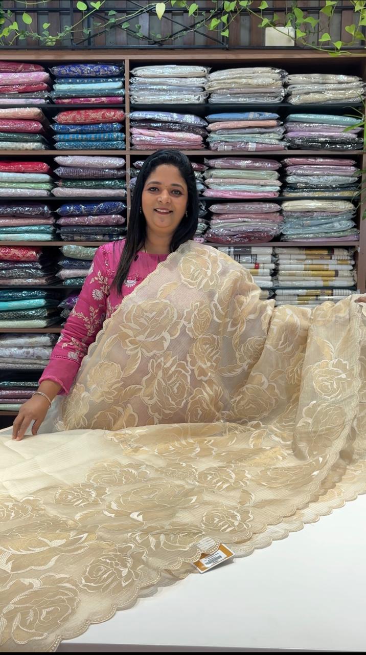 Tissue organza Saree TSA3893