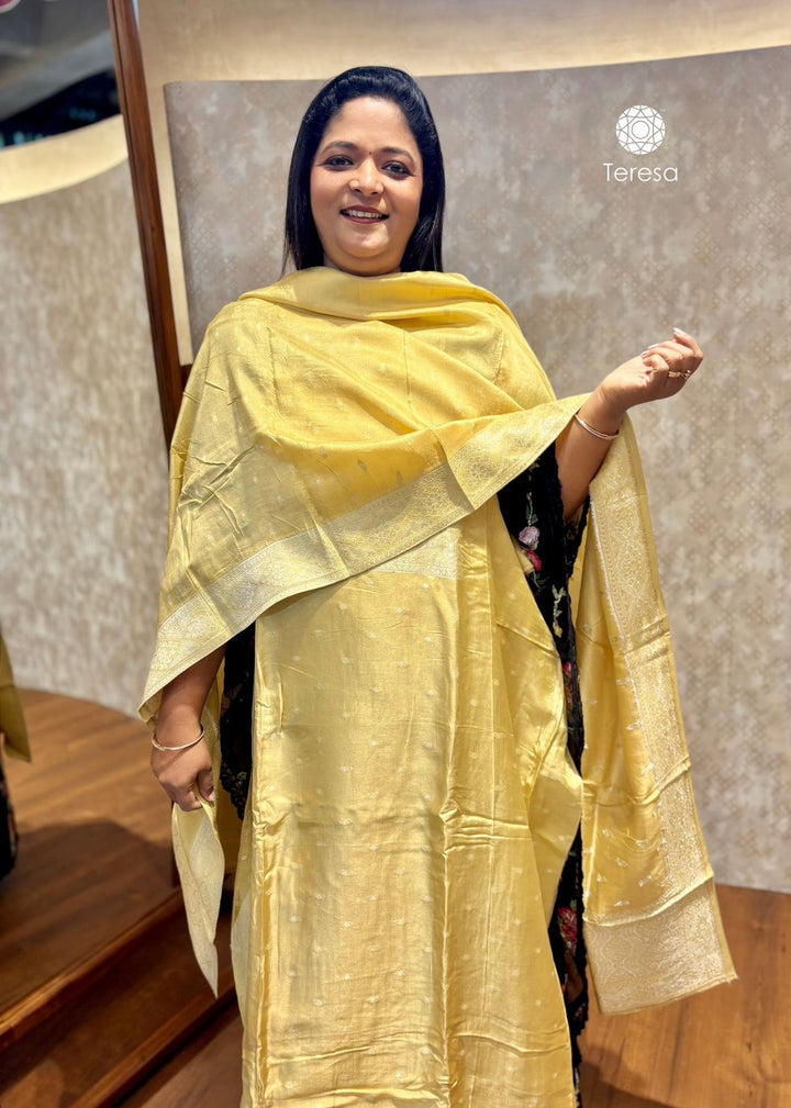 Semi-Banarasi Salwar TSS3919