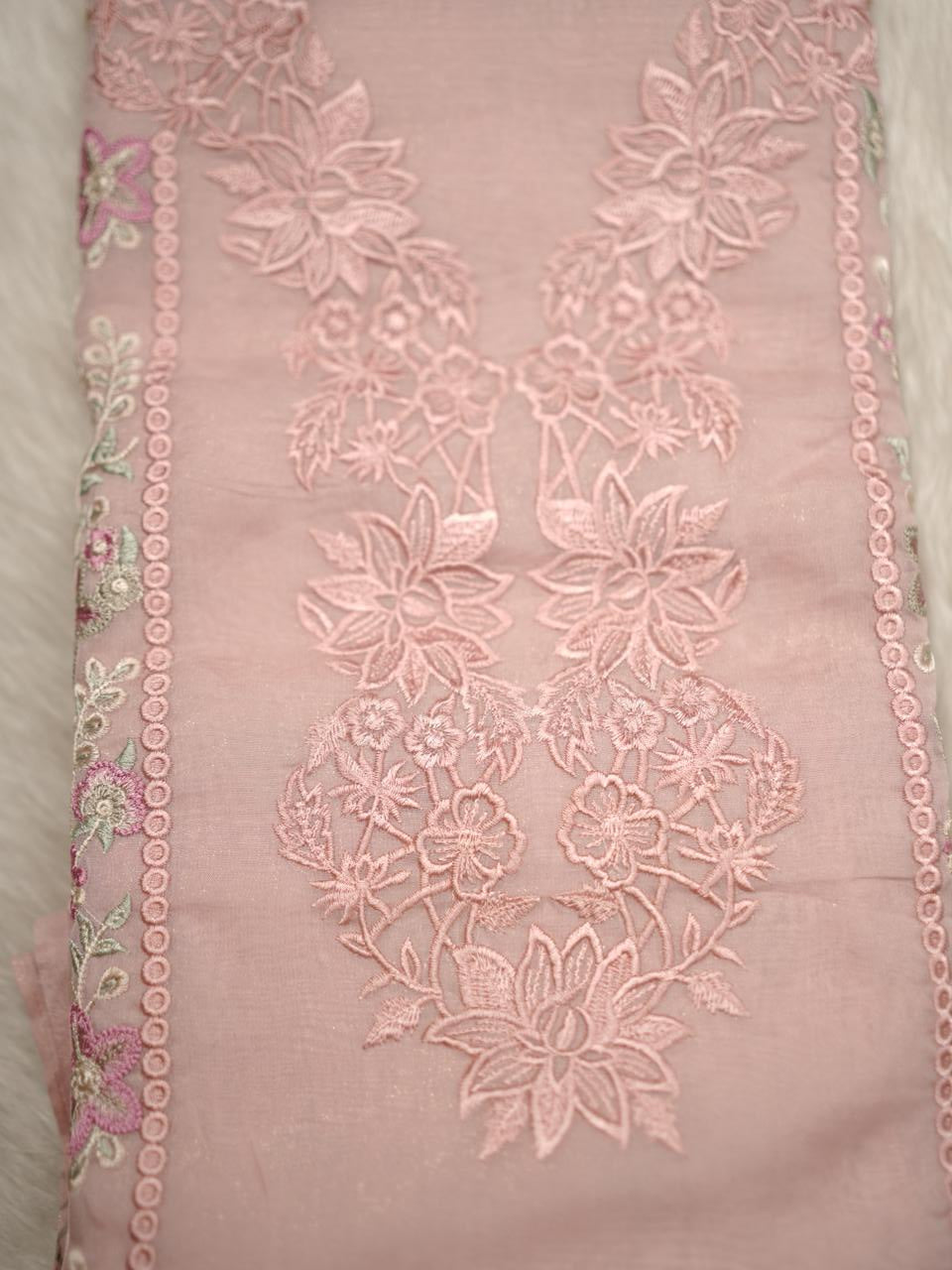 Foil Organza Salwar TSS4070