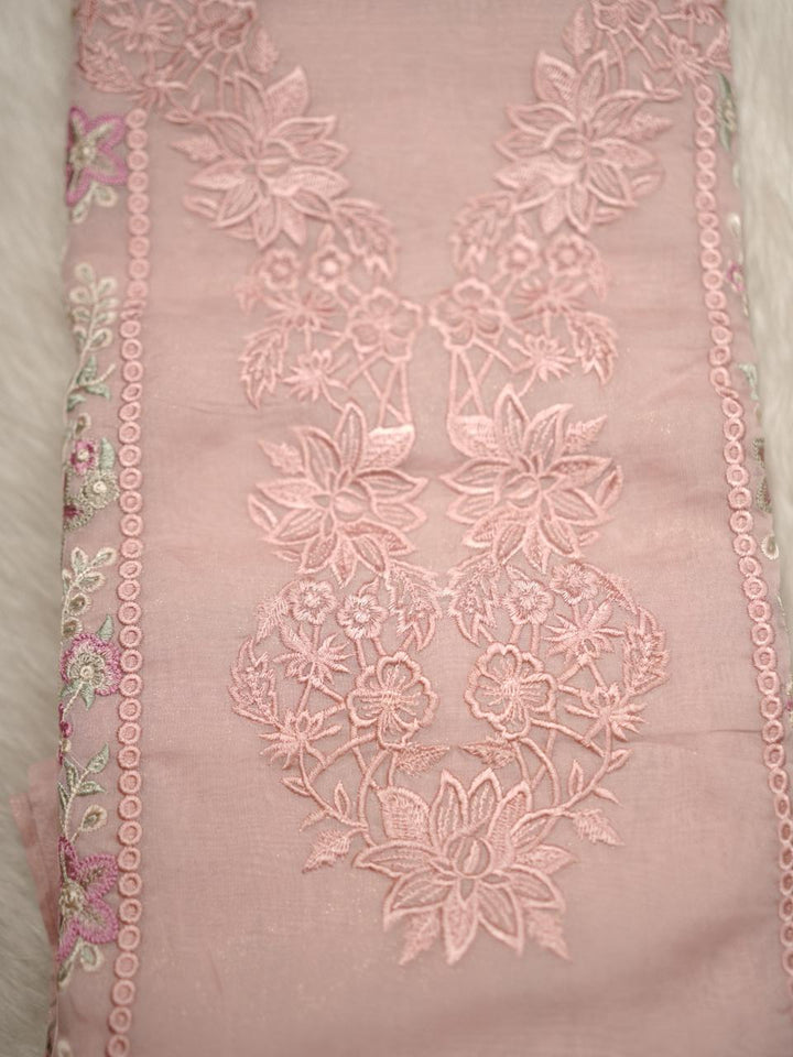 Foil Organza Salwar TSS4070