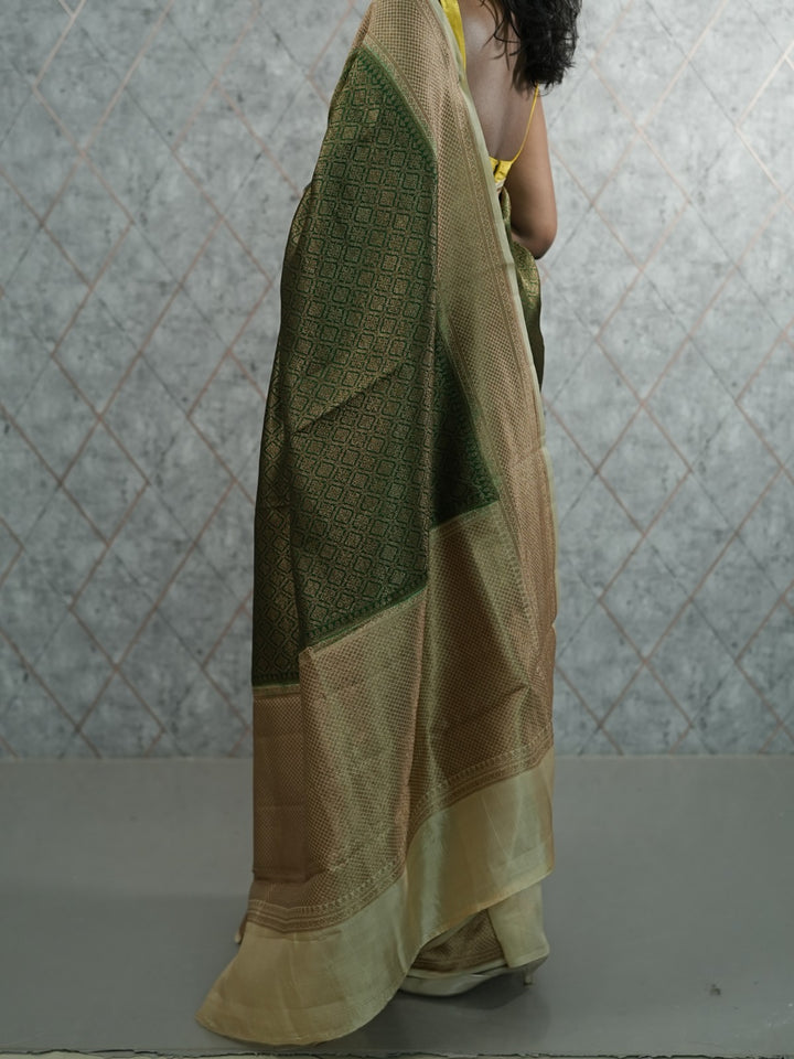 Organza Saree TSA427