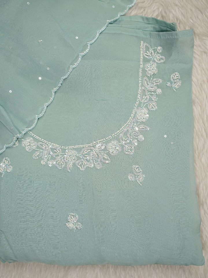 Viscose Organza Salwar TSS4169