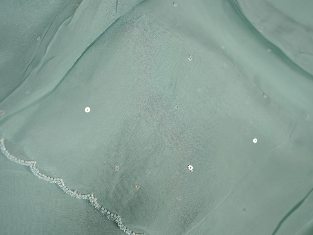 Viscose Organza Salwar TSS4169