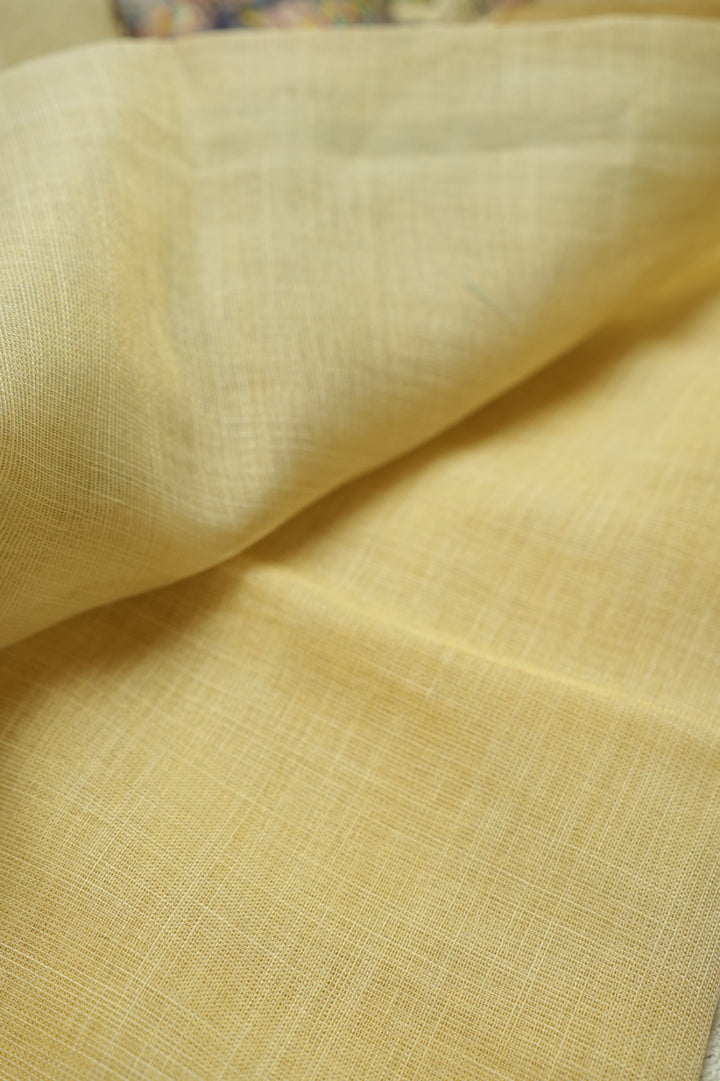Linen Tissue Saree TSA059