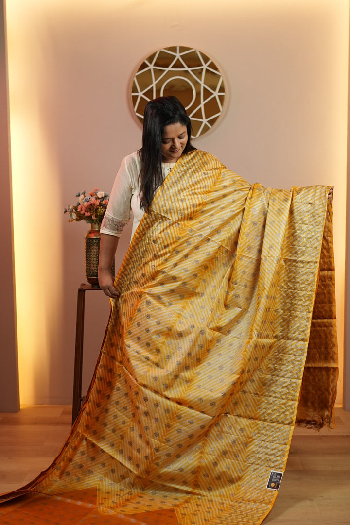 Tussar Saree TSA4792