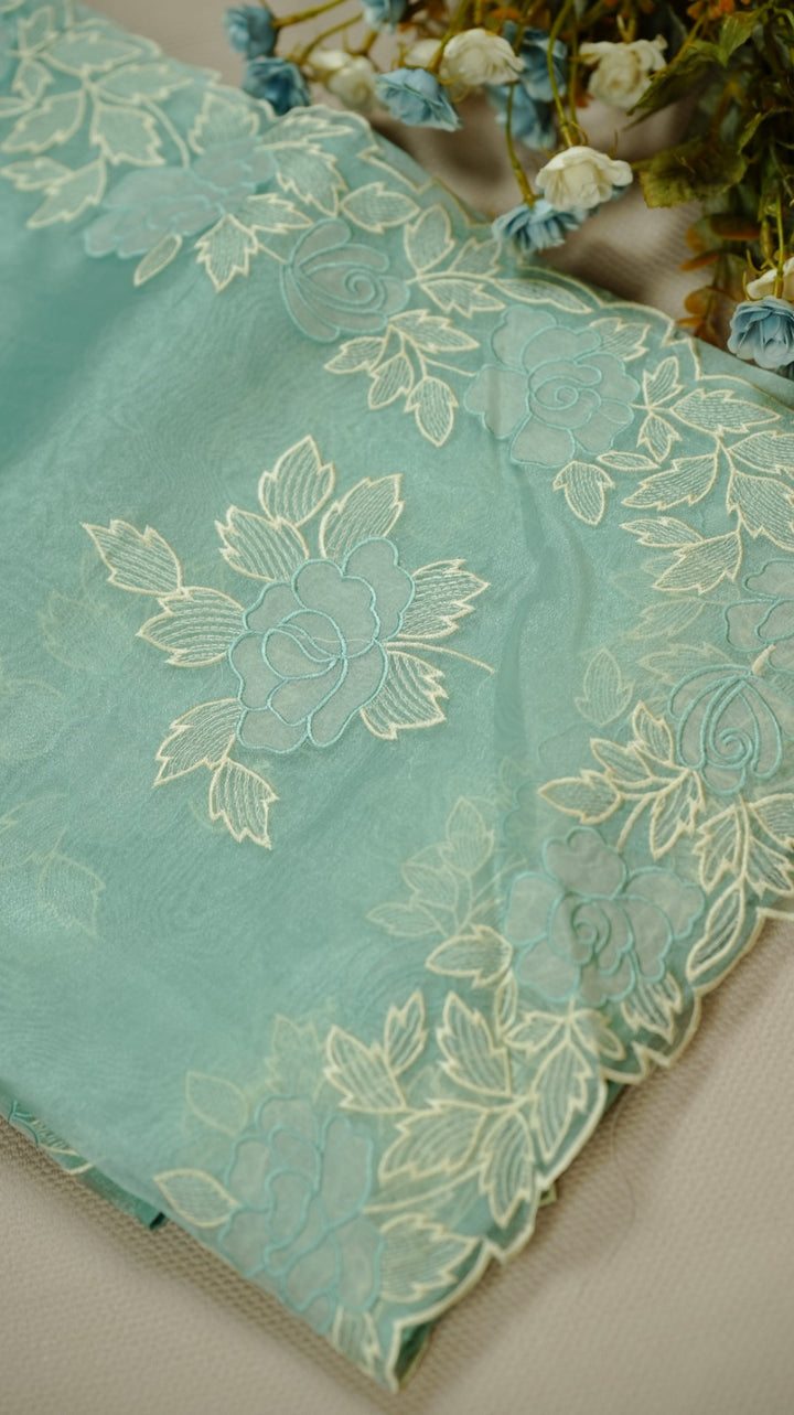 Organza Saree TSA4930