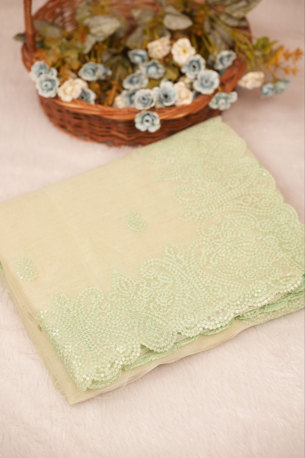 Shimmer Organza Saree TSA5196