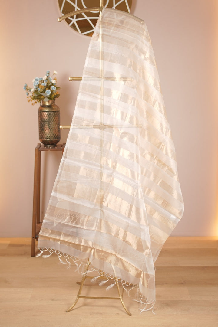 Organza Dupatta TDA0981