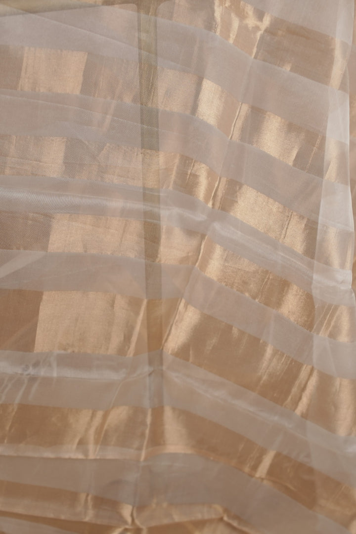 Organza Dupatta TDA0981