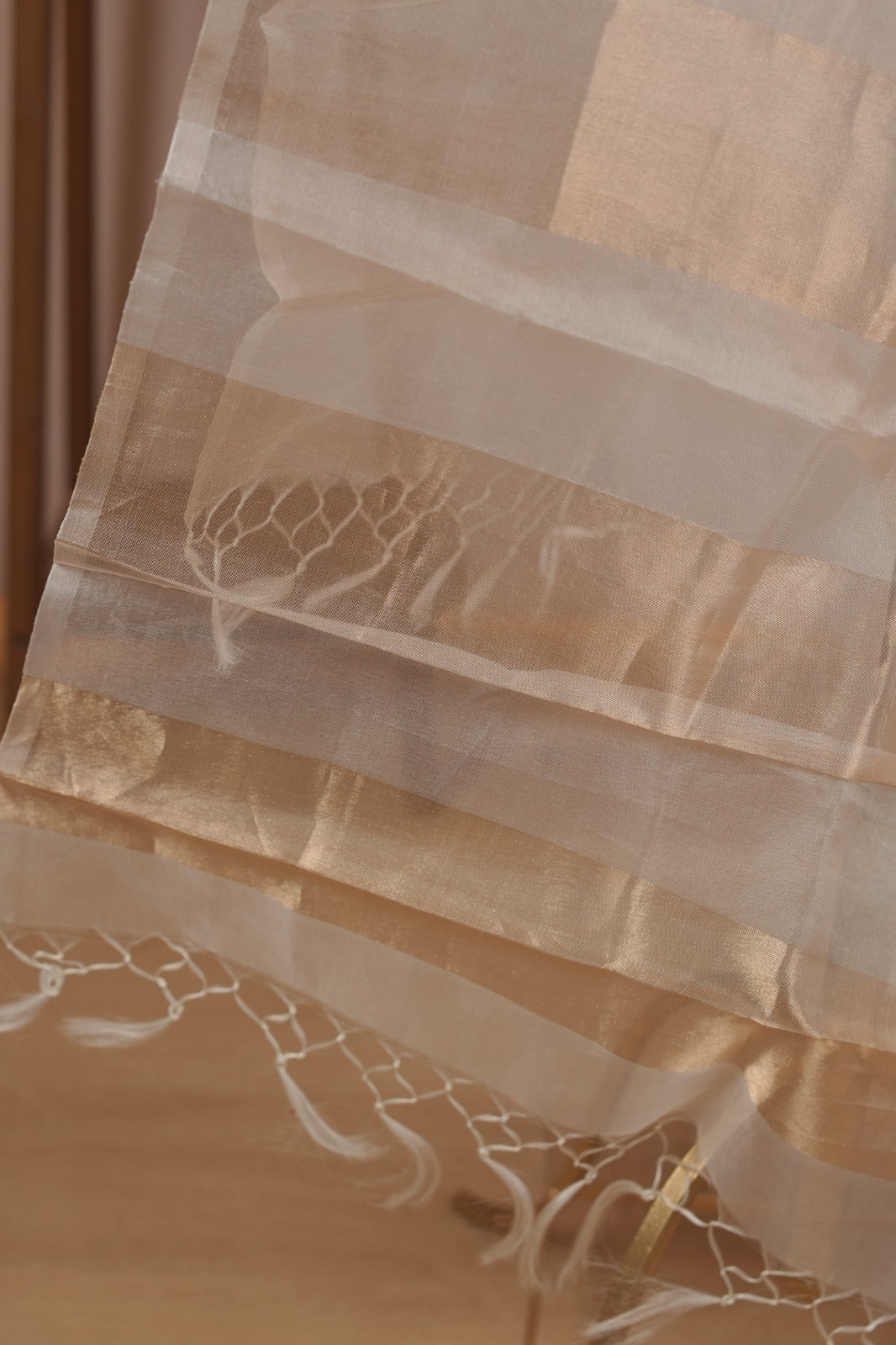 Organza Dupatta TDA0981