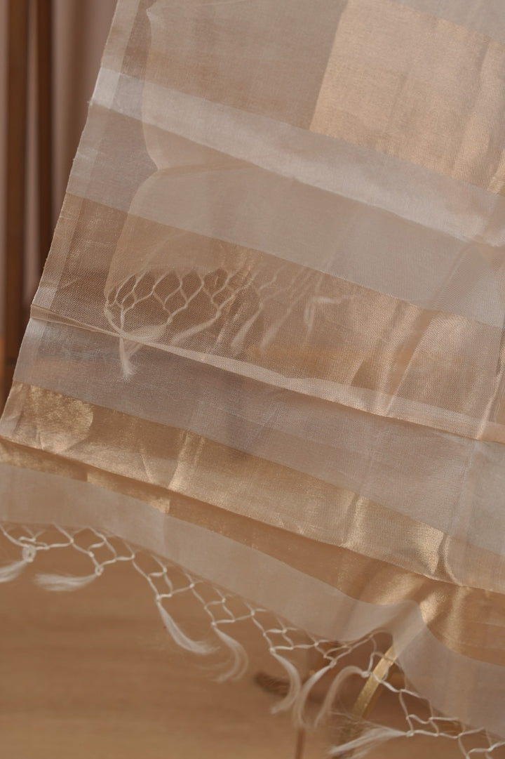 Organza Dupatta TDA0981