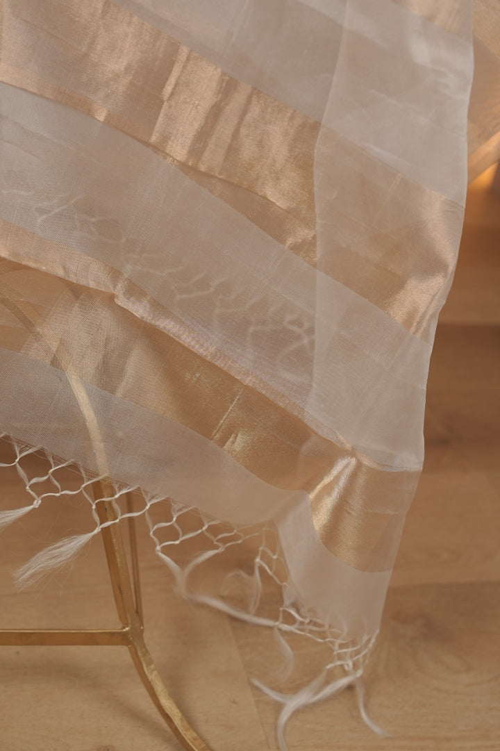Organza Dupatta TDA0981