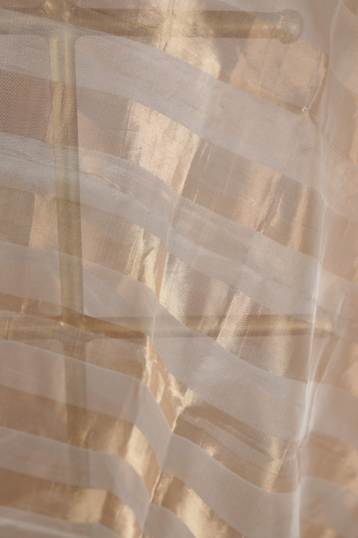 Organza Dupatta TDA0981
