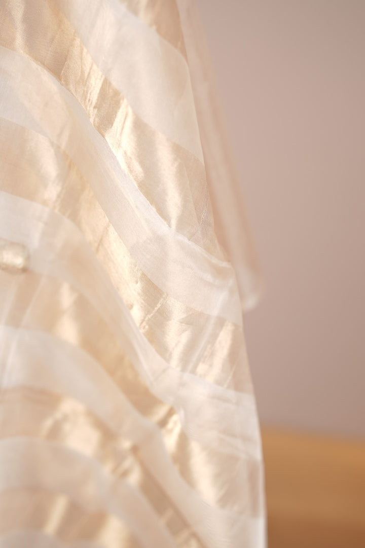 Organza Dupatta TDA0981