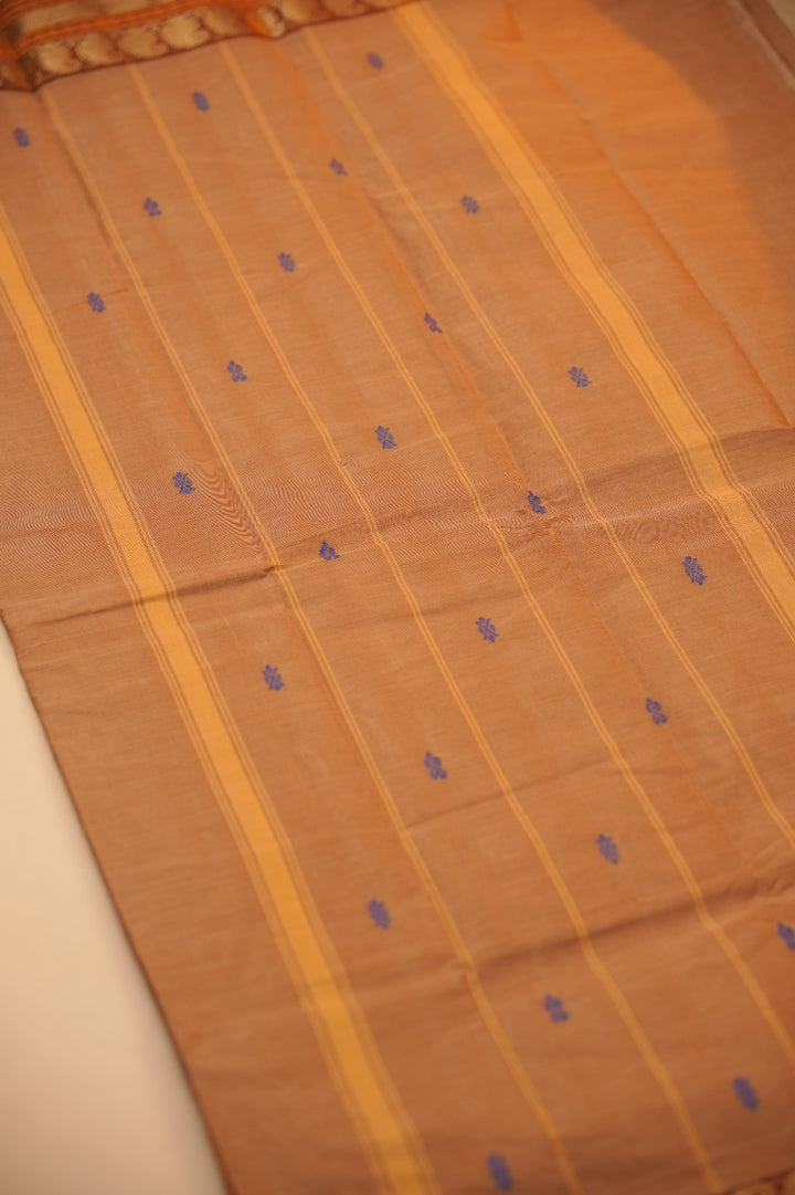 Kanchi Cotton Saree TSA01033