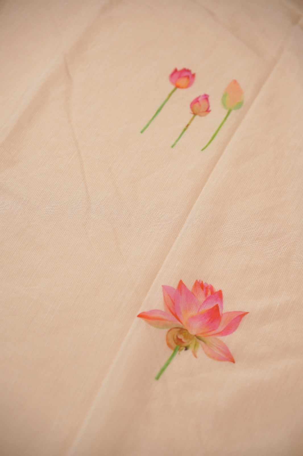 Chanderi Mix Saree TSA5530