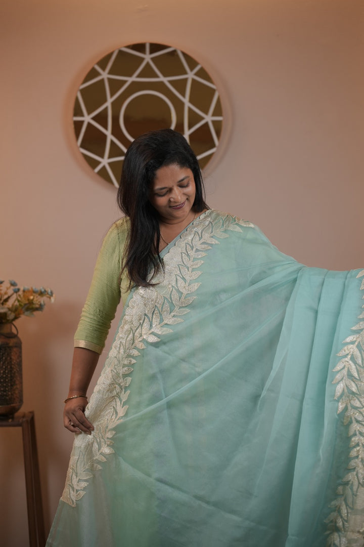 Organza Saree TSA5541