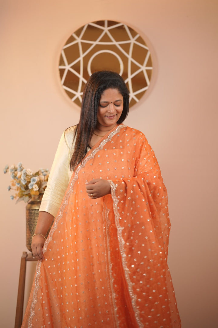 Organza Saree TSA5675