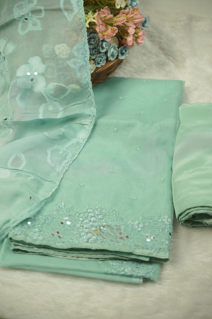 Organza Salwar TSS5717
