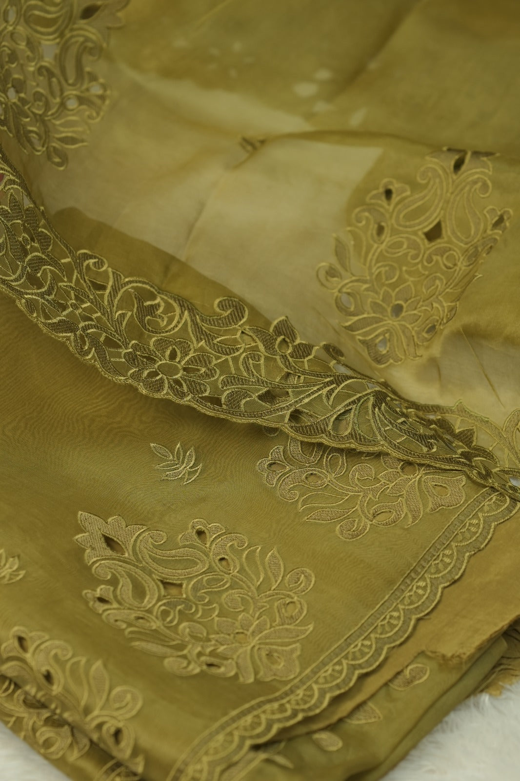 Organza Salwar TSS5725