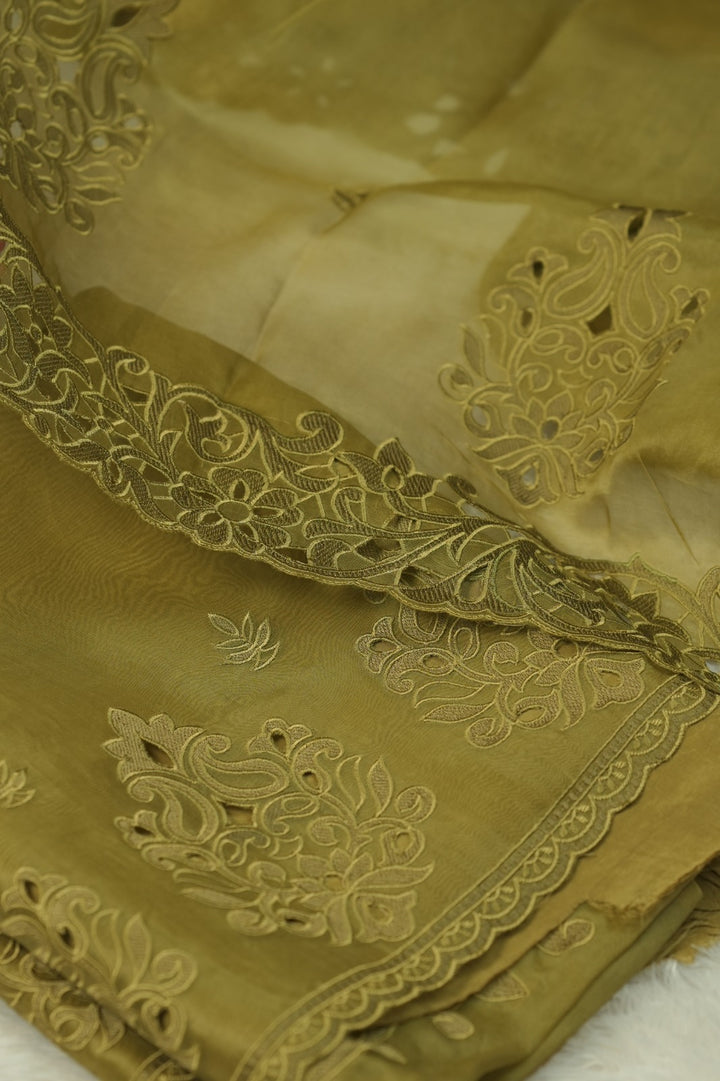Organza Salwar TSS5725
