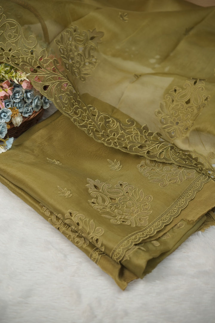 Organza Salwar TSS5725