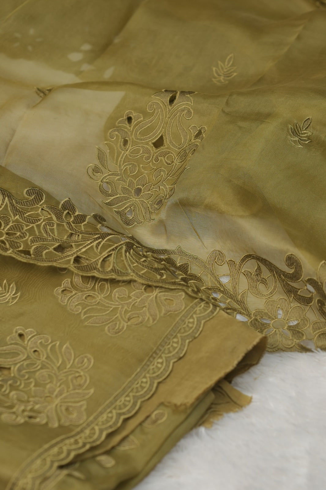 Organza Salwar TSS5725