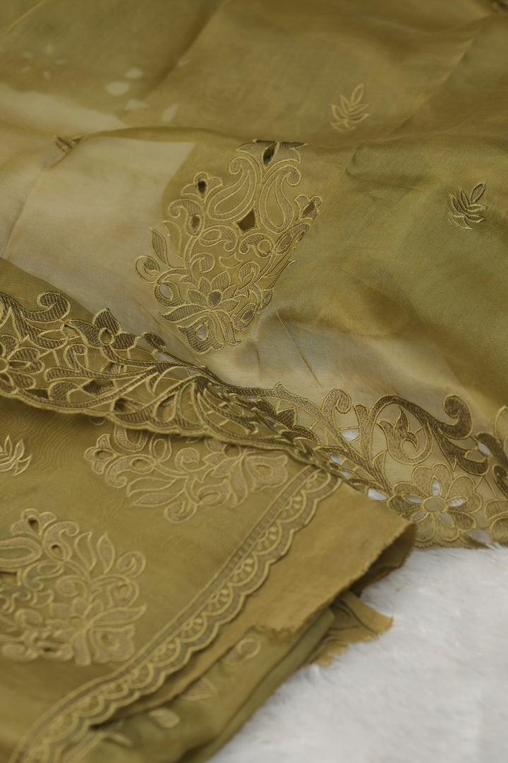 Organza Salwar TSS5725
