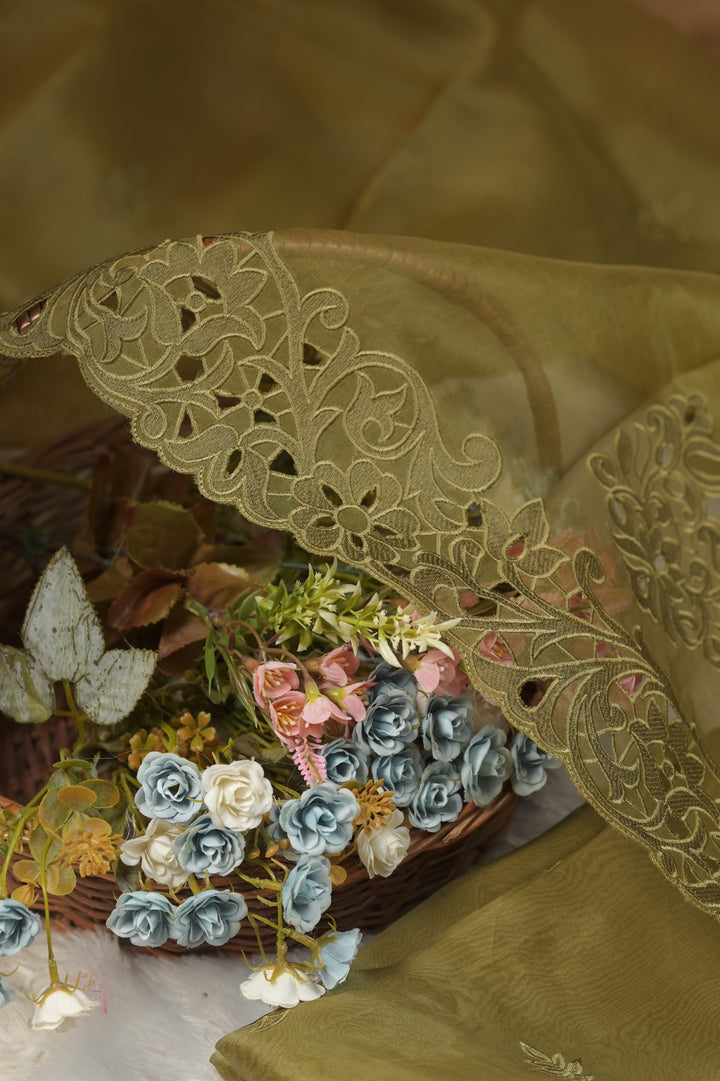 Organza Salwar TSS5725