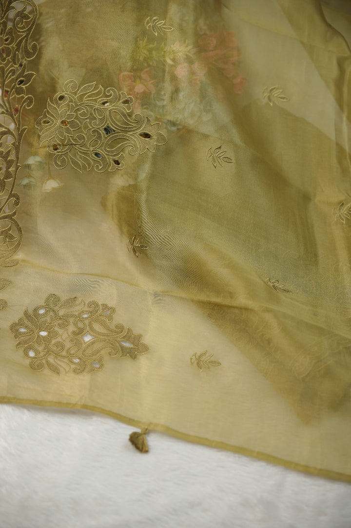 Organza Salwar TSS5725