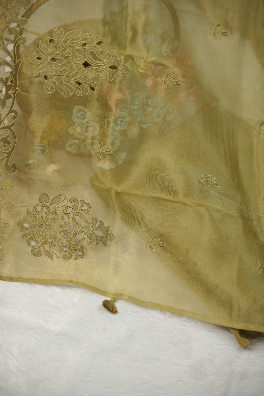 Organza Salwar TSS5725