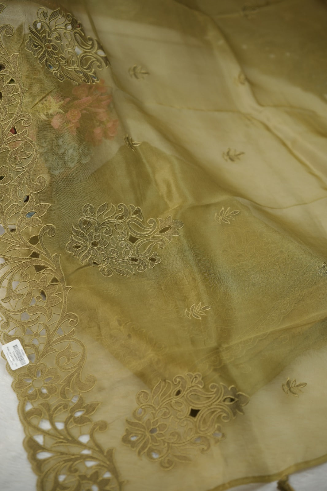 Organza Salwar TSS5725