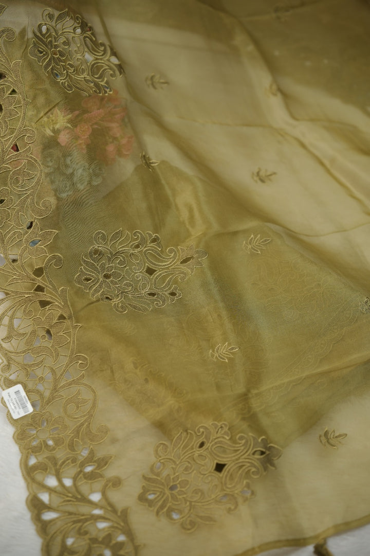 Organza Salwar TSS5725