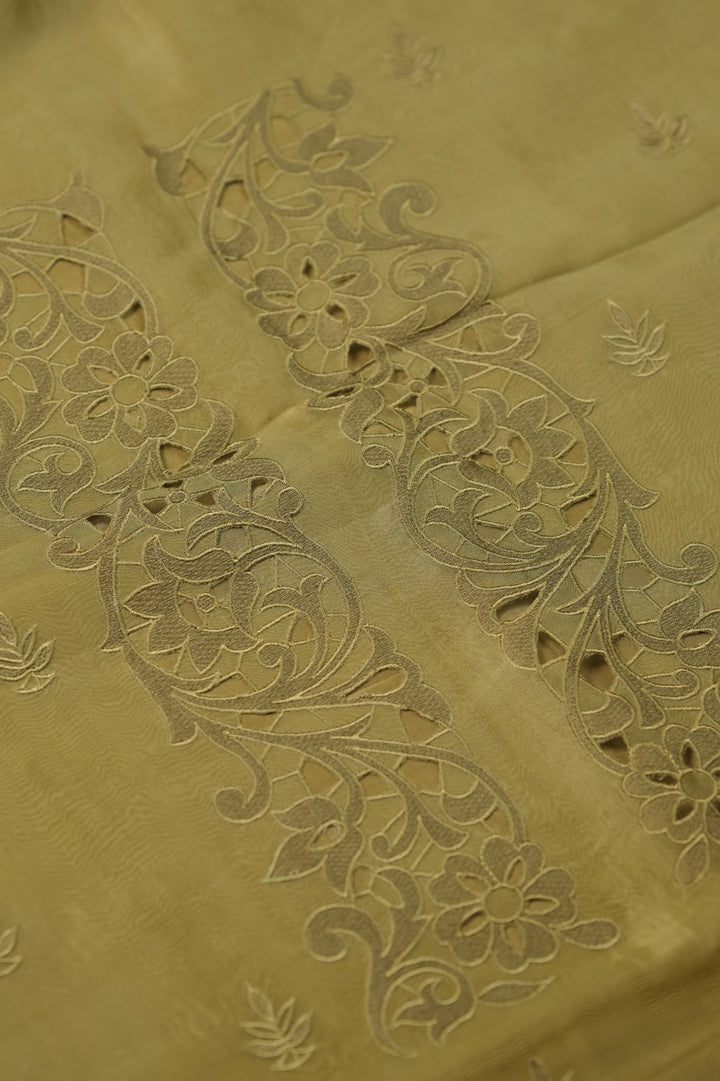Organza Salwar TSS5725