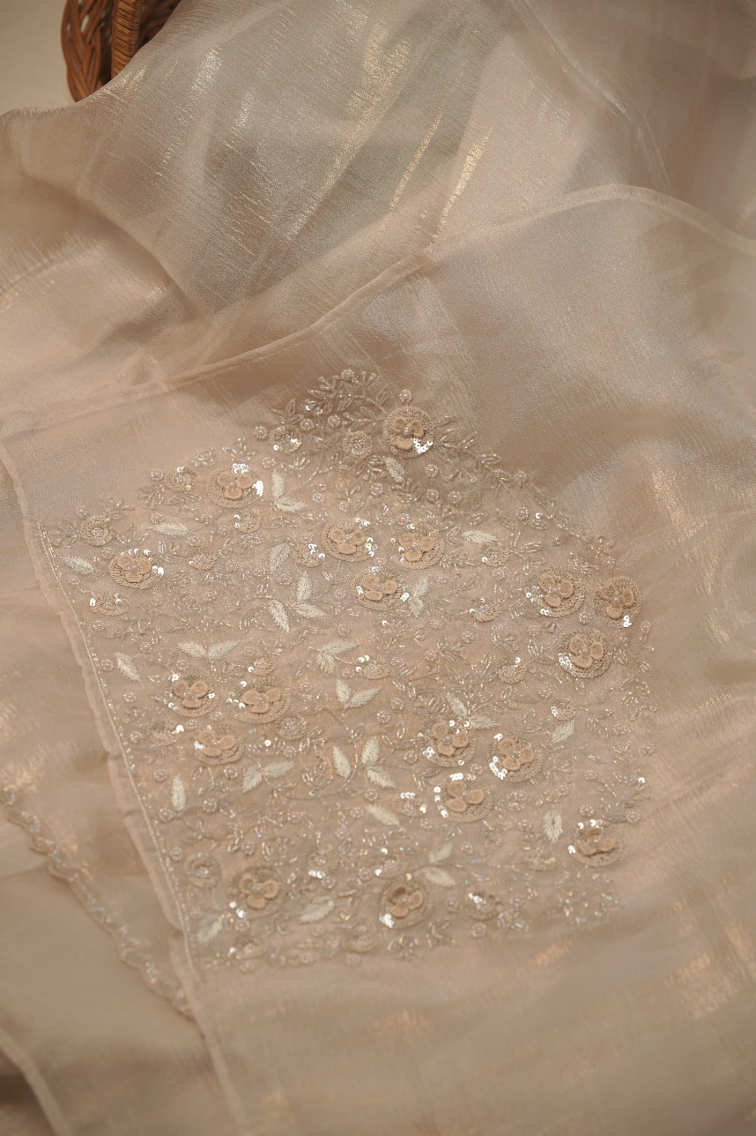 Crushed Organza Saree TSA5729