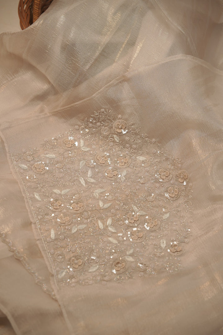 Crushed Organza Saree TSA5729