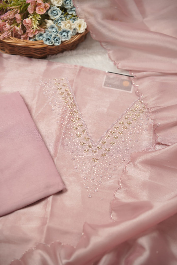 Tissue Organza Salwar TSS01387