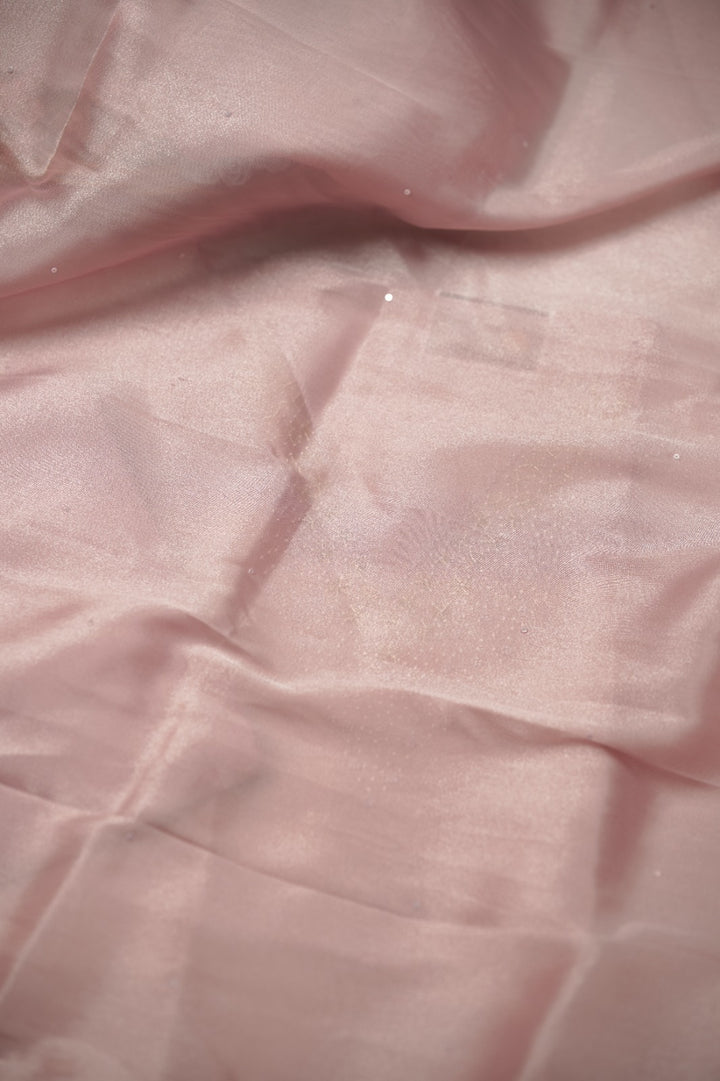 Tissue Organza Salwar TSS01387