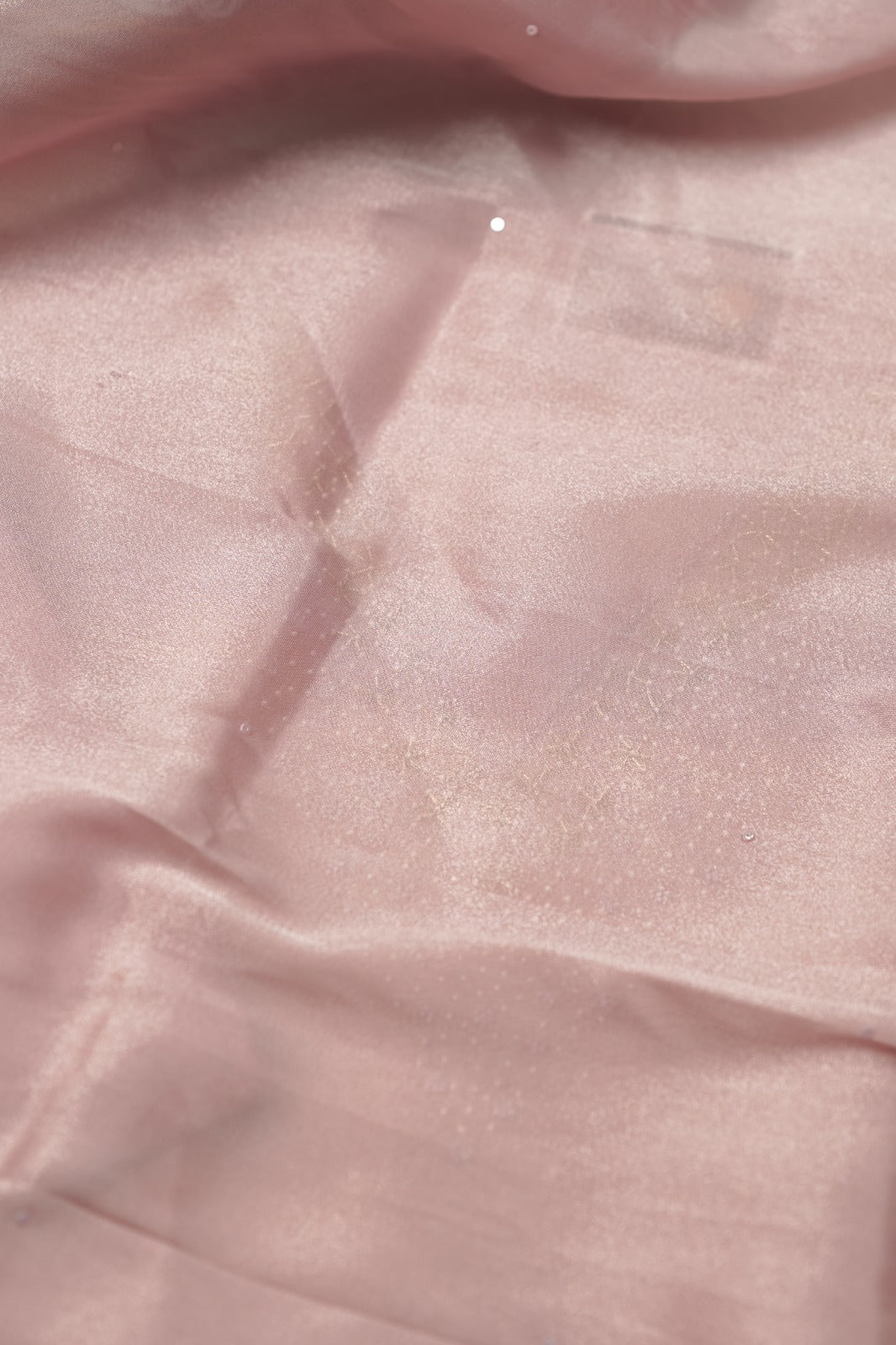 Tissue Organza Salwar TSS01387