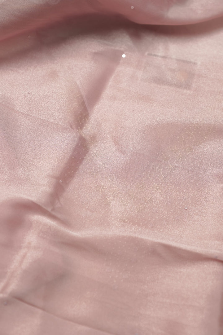 Tissue Organza Salwar TSS01387