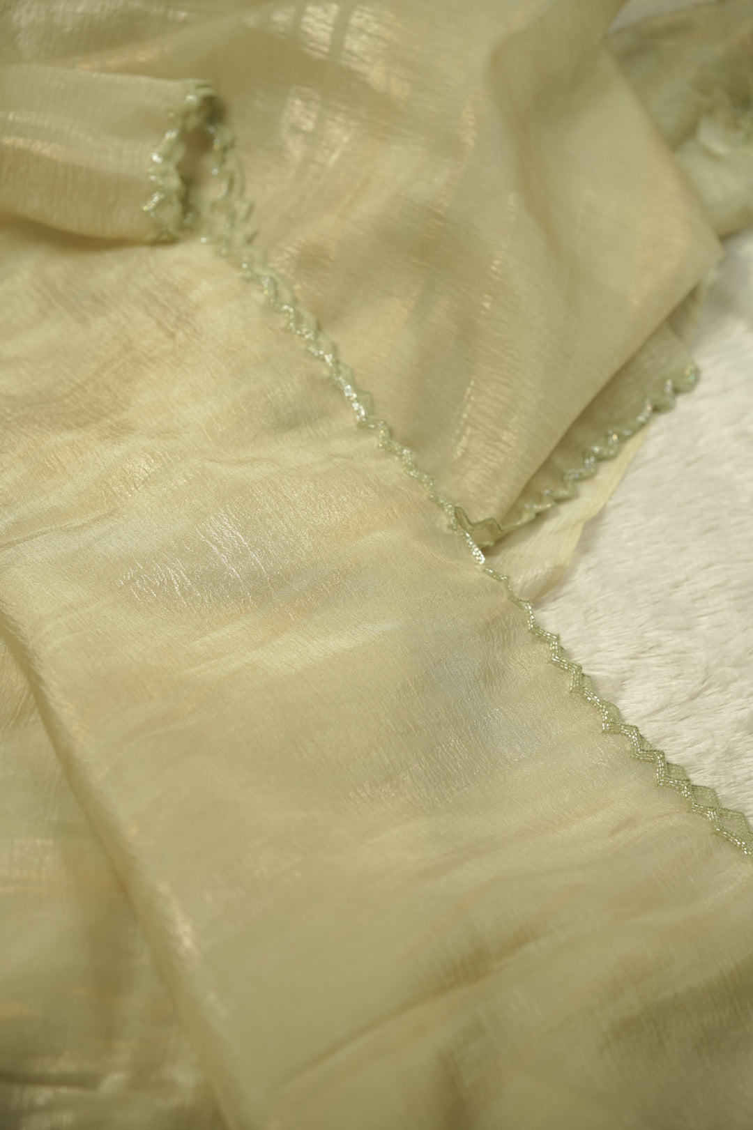 Crushed Organza Saree TSA5831