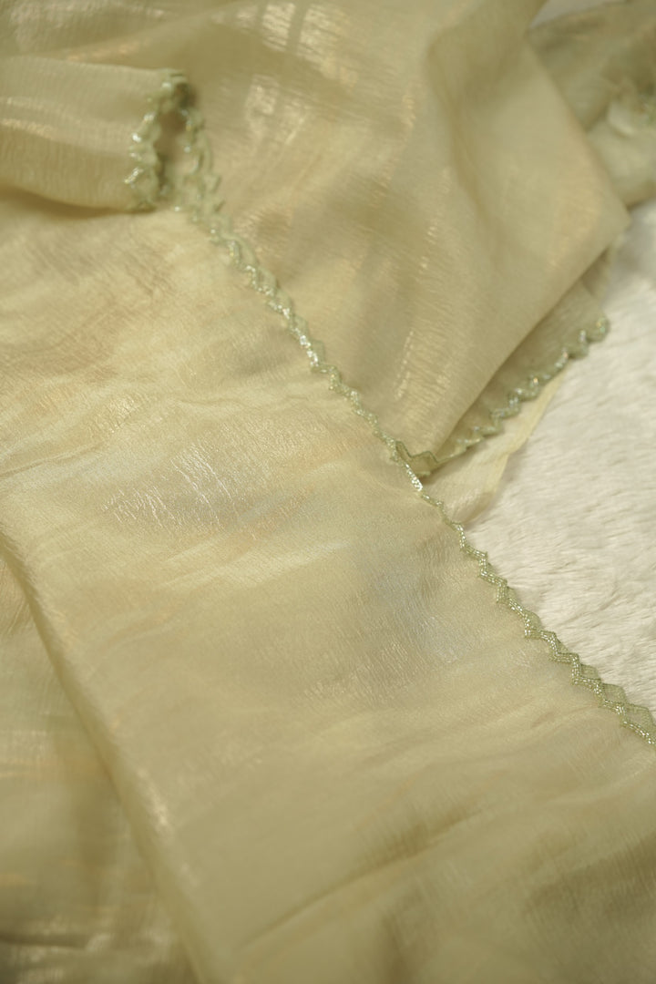 Crushed Organza Saree TSA5831