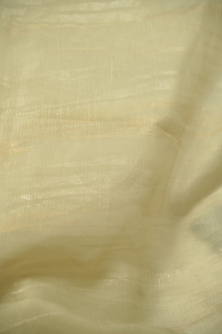 Crushed Organza Saree TSA5831